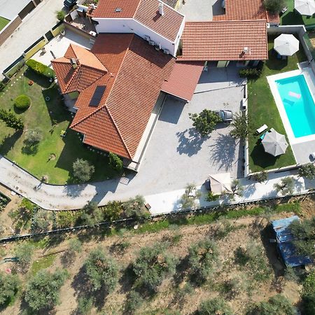 Alojamento Poco Do Barro Lodões エクステリア 写真